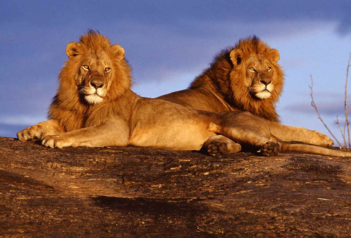 tsavo west national parks
